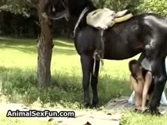 Chubby whore licks a horse's dick in a girls sex horses action enjoys brutal beastiality sex